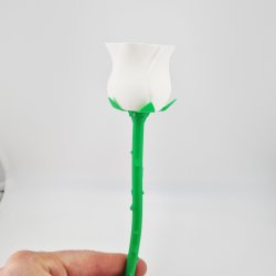 3D printet evighedsrose i hvid med gr�n stilk