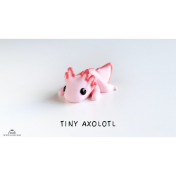 Lille Axolotl